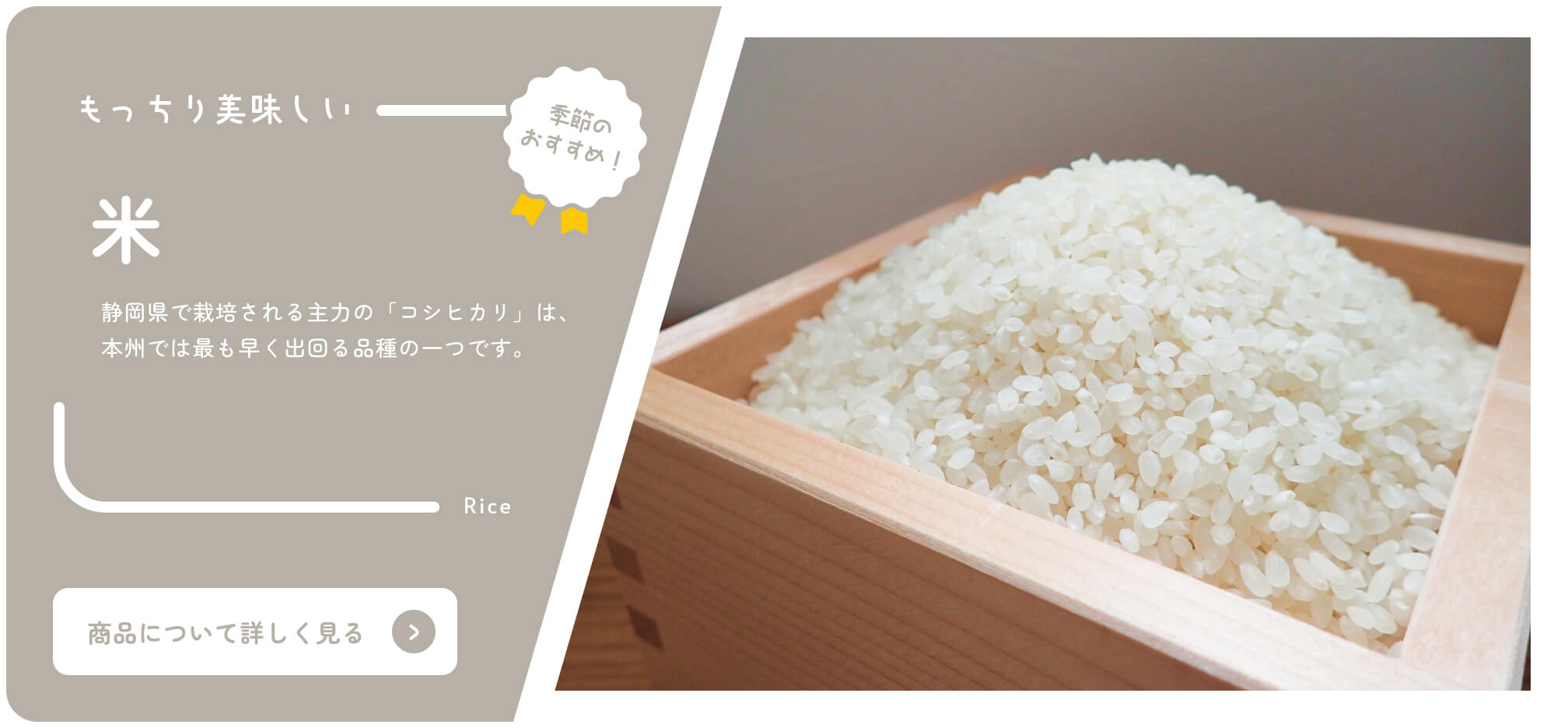 By Shizuoka Online Catalog Seasonal Recommendations Rice