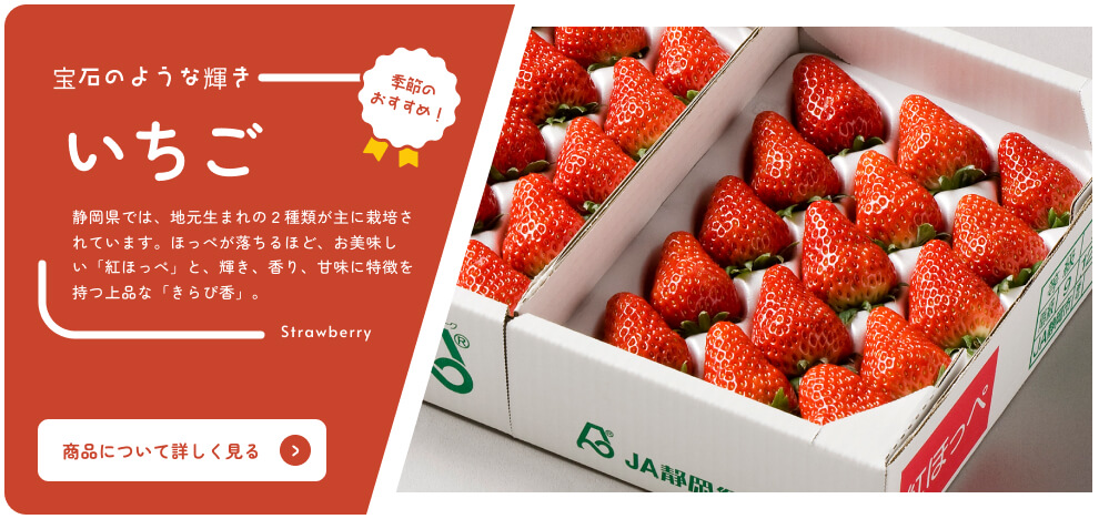 Por Shizuoka Catálogo en línea Recomendación de temporada Fresa