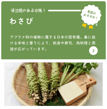 Por Shizuoka Catálogo en línea Recomendación estacional Wasabi