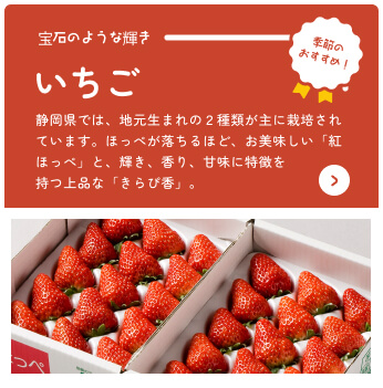 Por Shizuoka Catálogo en línea Recomendación de temporada Fresa