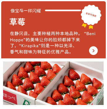 By Shizuoka Online Catalogue 季节性推荐 草莓