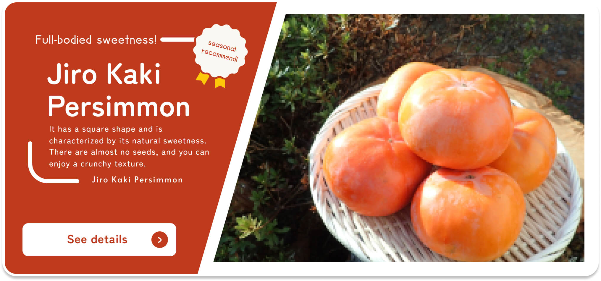 By Shizuoka Online Catalog Seasonal recommendation Jiro persimmon