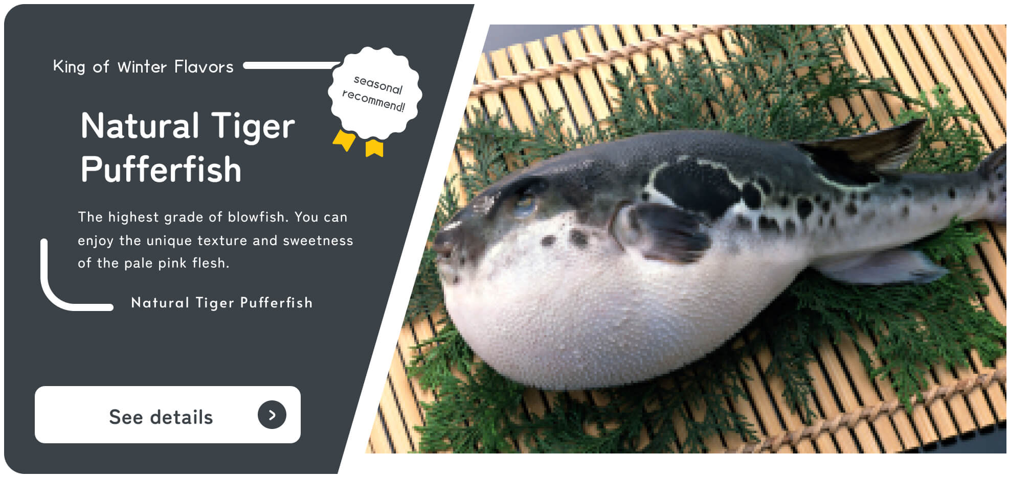By Shizuoka Online Catalog Seasonal recommendation Tiger blowfish