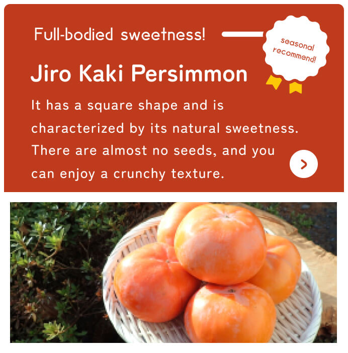By Shizuoka Online Catalog Seasonal recommendation Jiro persimmon