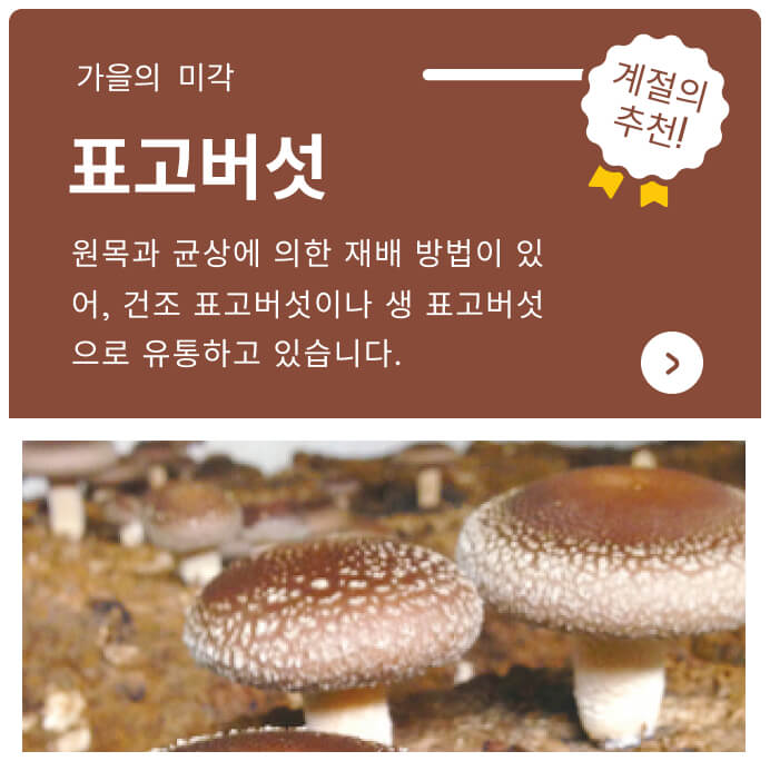 바이 시즈오카 온라인 카탈로그 제철 추천 표고 버섯