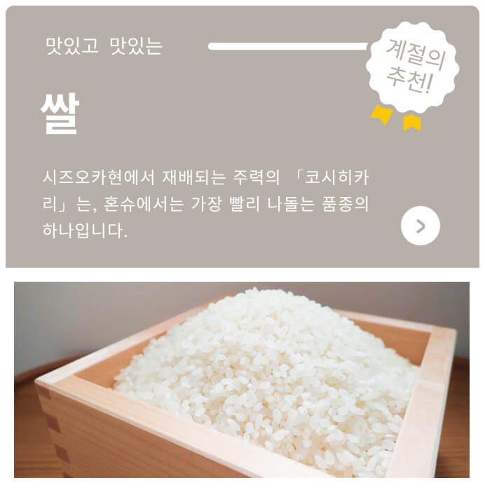 바이 시즈오카 온라인 카탈로그 제철 추천 쌀