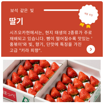바이 시즈오카 온라인 카탈로그 제철 추천 딸기