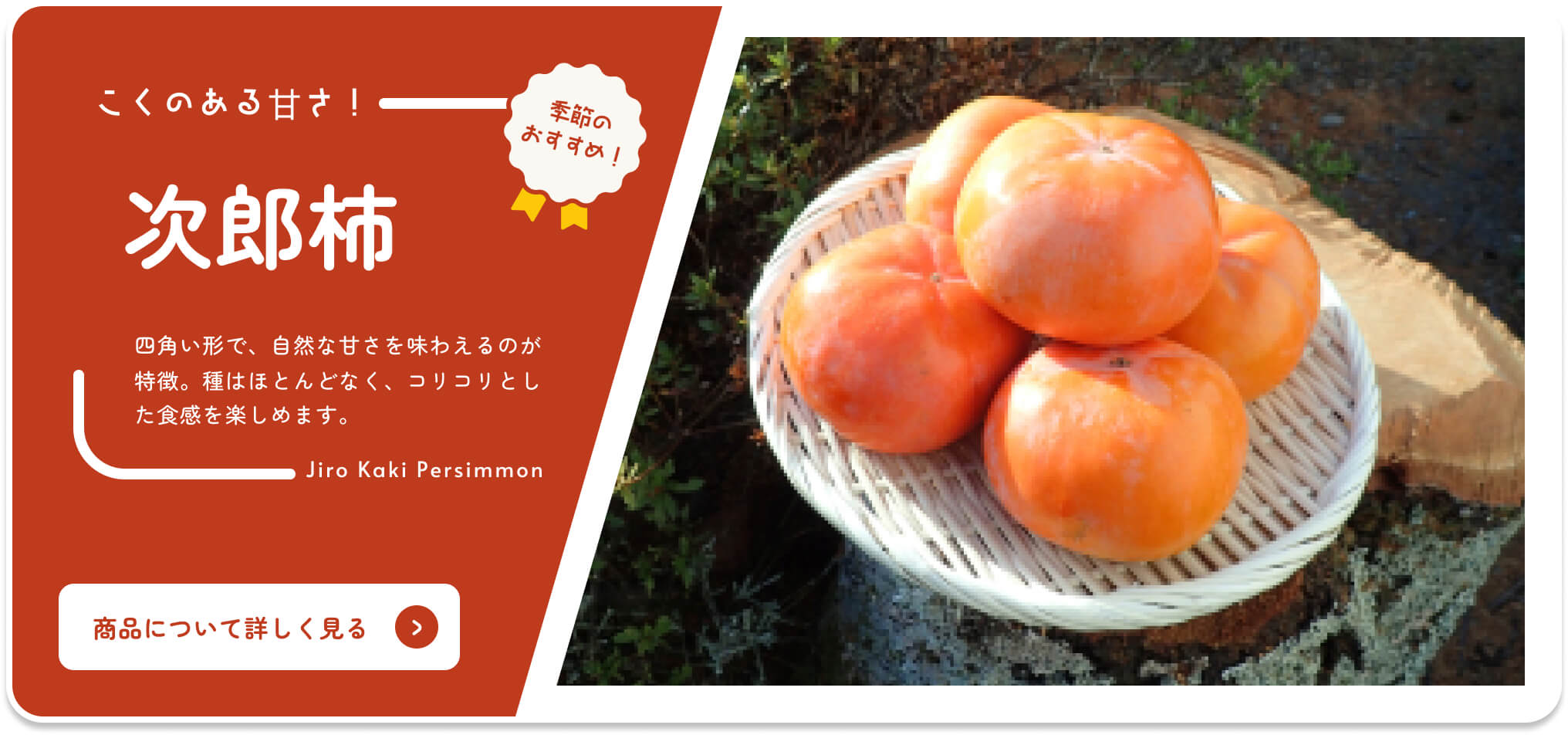 Por Shizuoka Catálogo en línea Recomendación de temporada Caqui Jiro