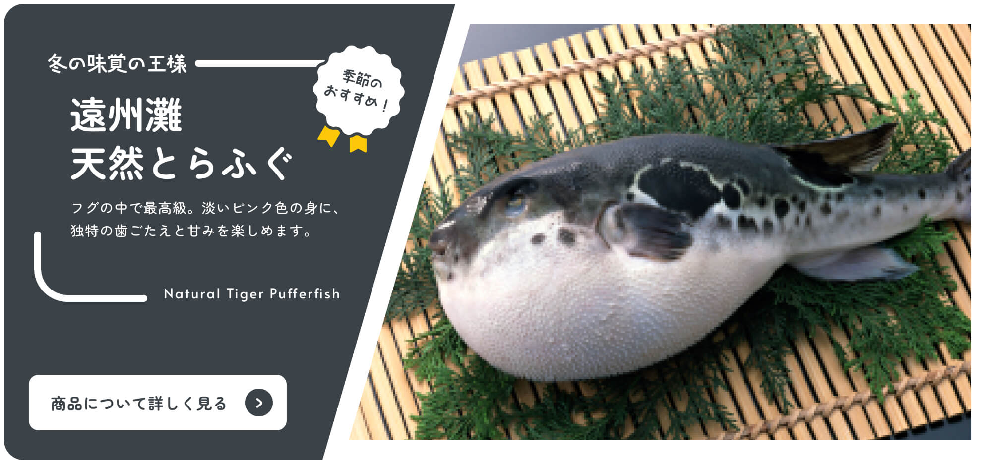 Por Shizuoka Catálogo en línea Recomendación estacional Pez globo tigre