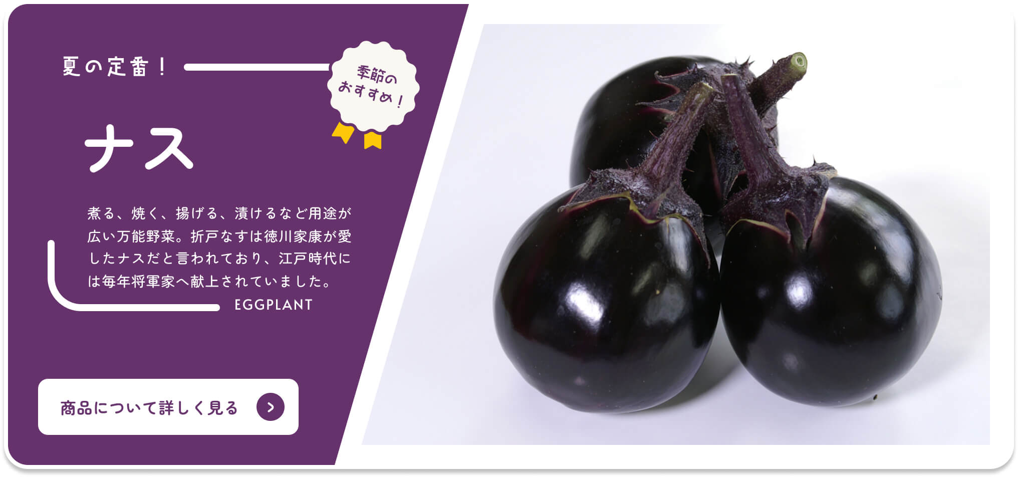 Kaufen Sie Shizuoka Online Catalog Seasonal Recommended Aubergine