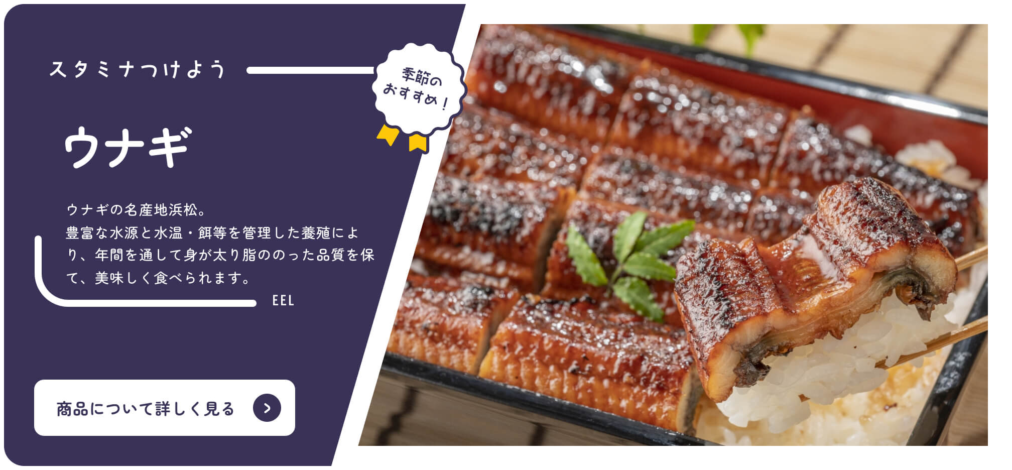 Buy Shizuoka Online Catalog Seasonal Recommended Eels