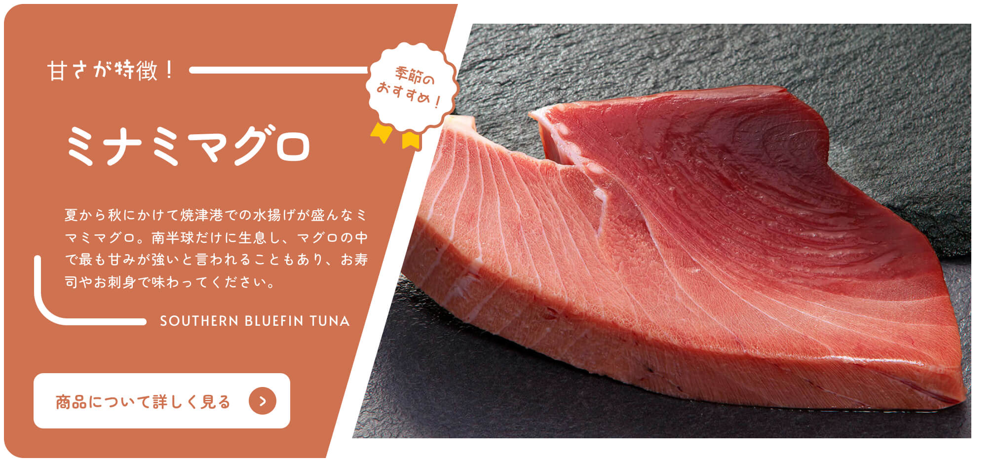 購買靜岡在線目錄 季節性推薦的南方藍鰭金槍魚