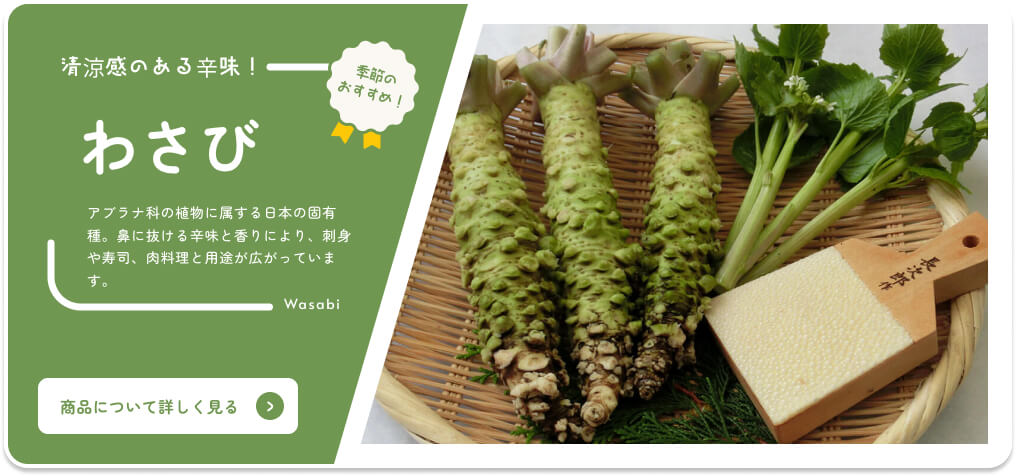Von Shizuoka Online-Katalog Wasabi