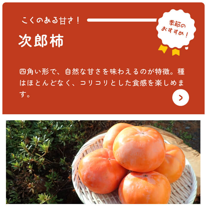 Por Shizuoka Catálogo en línea Recomendación de temporada Caqui Jiro