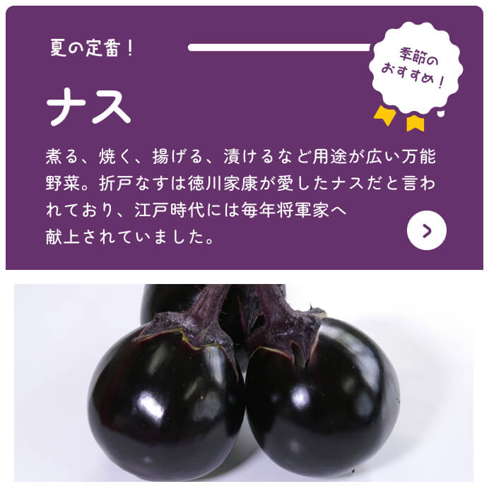 Kaufen Sie Shizuoka Online Catalog Seasonal Recommended Aubergine