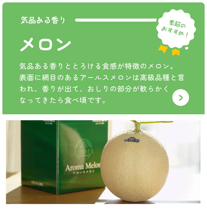 Kaufen Sie Shizuoka Online-Katalog Melone