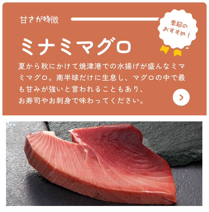 Acheter le catalogue en ligne de Shizuoka Saisonnier Recommandé Thon rouge du Sud