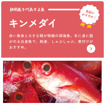 Por Shizuoka Catálogo en línea Recomendación estacional Kinmedai