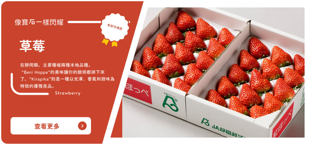 By Shizuoka Online Catalogue 季節性推薦 草莓