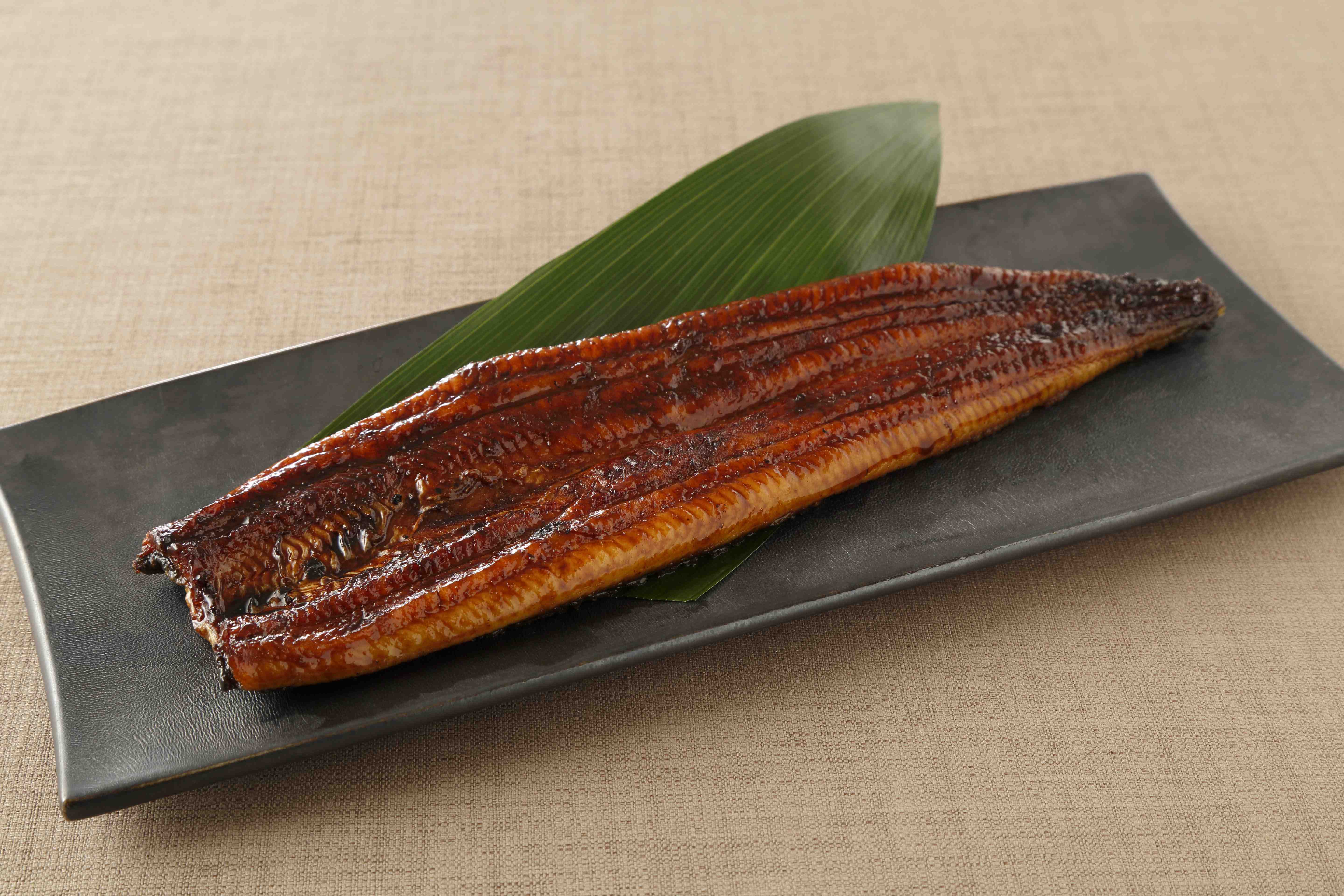 Long kabayaki d'anguille de Shizuoka