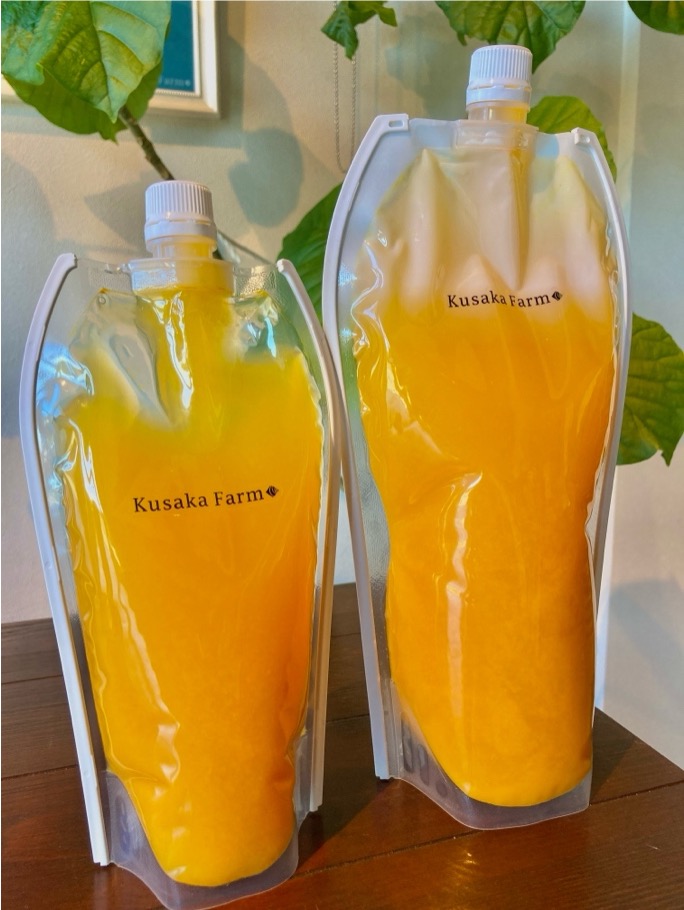 日下みかん　ストレートジュース　パウチ500ml　3本入