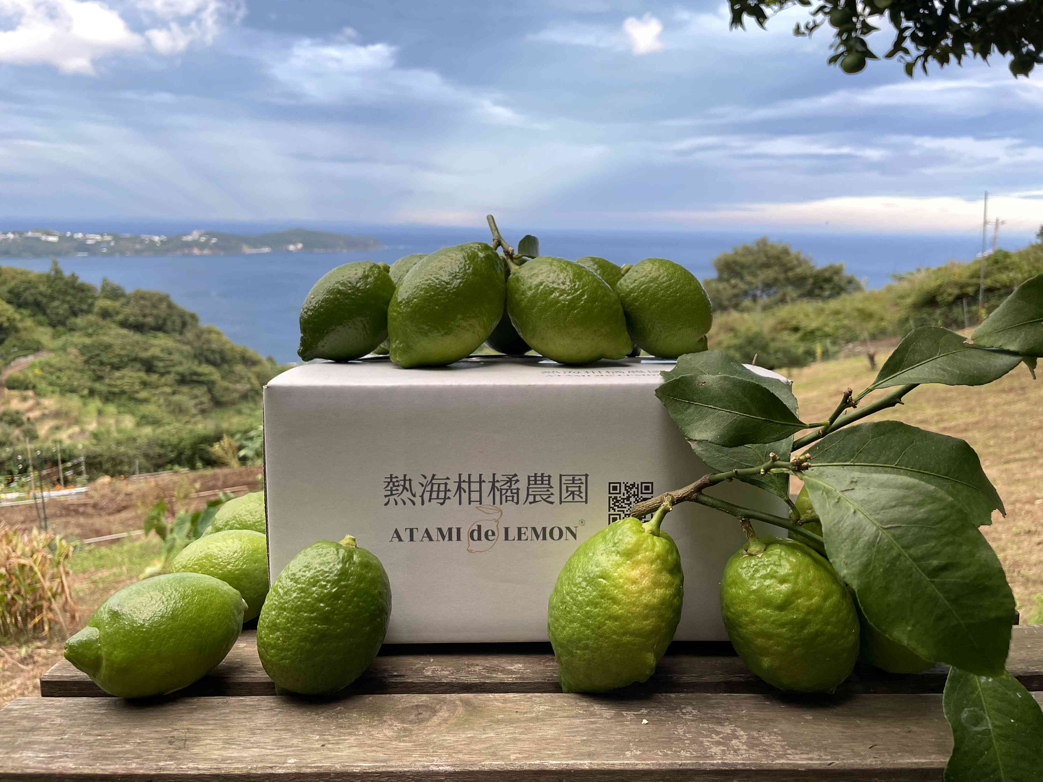 商品名
