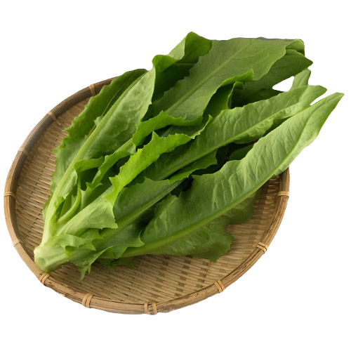 油麦菜（ゆうまいさい）・A菜（台湾A菜）