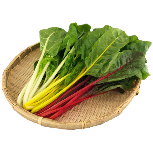 カラフルスイスチャード