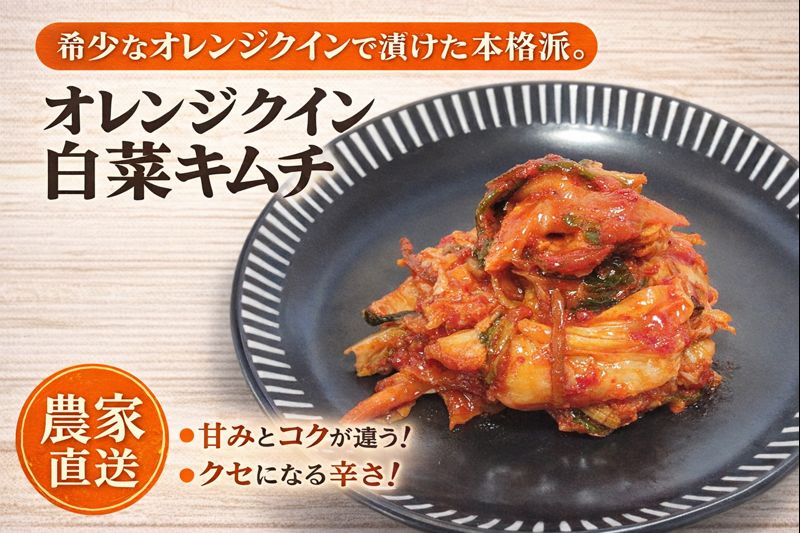 幻の白菜「オレンジクイン」で作ったキムチ