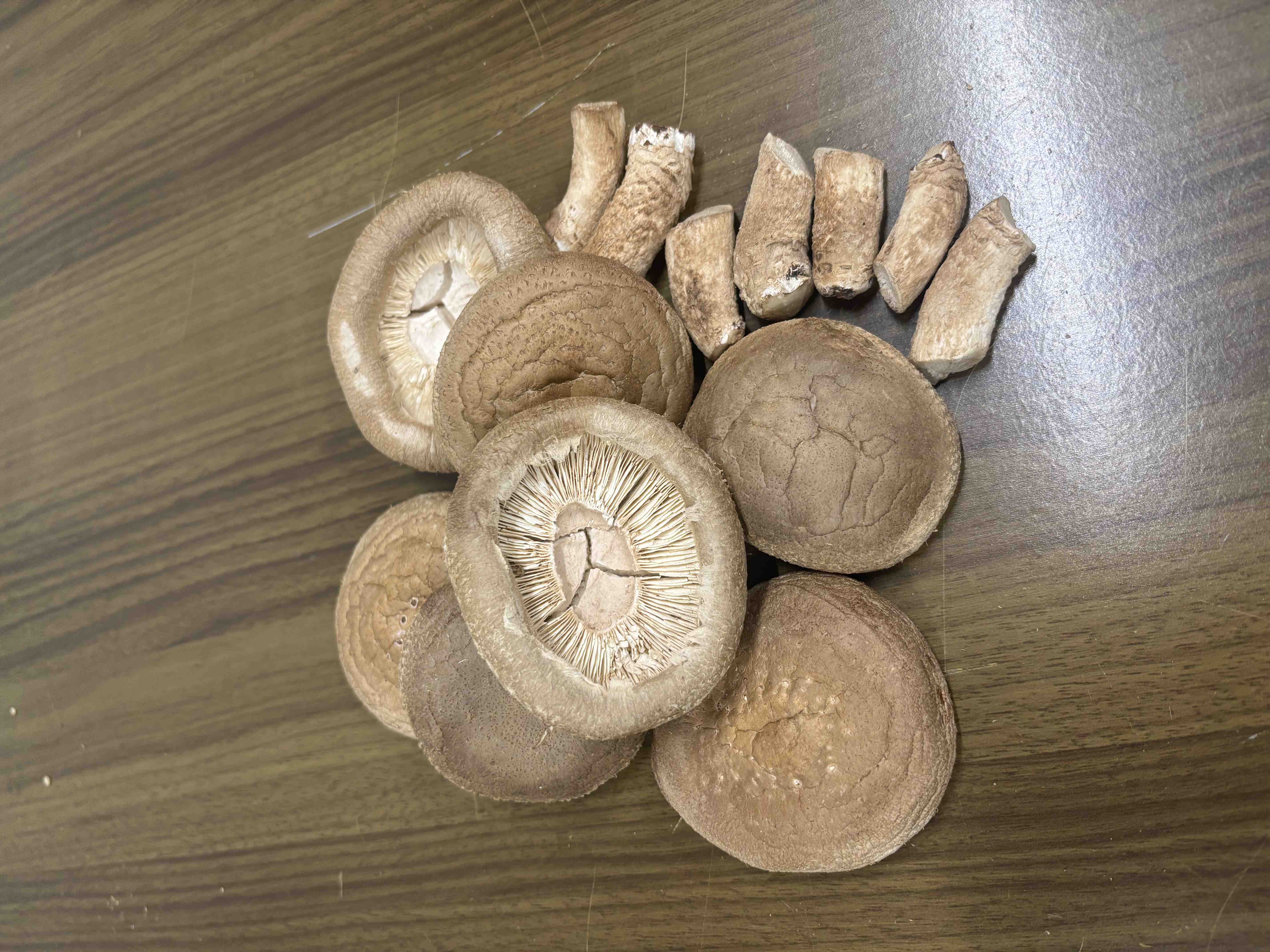 フリーズドライ椎茸