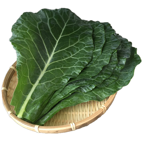 コラードケール