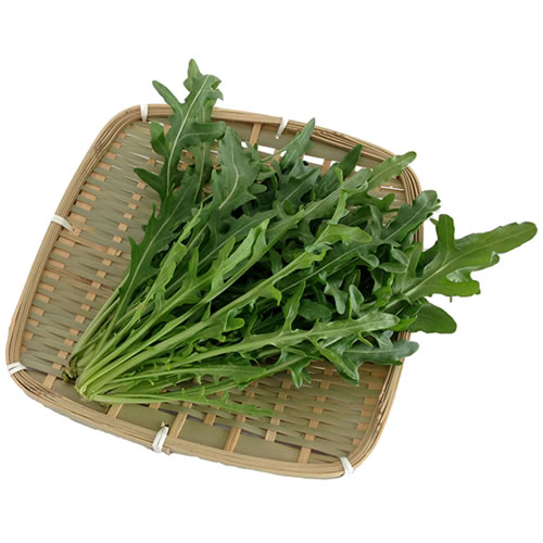 ルッコラ・セルバ―ティカ（セルバチカ・ワイルドルッコラ）