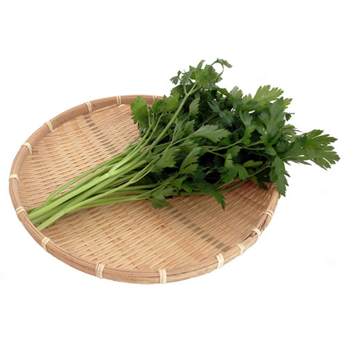 イタリアンパセリ