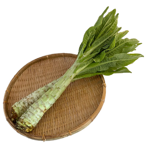 茎レタス