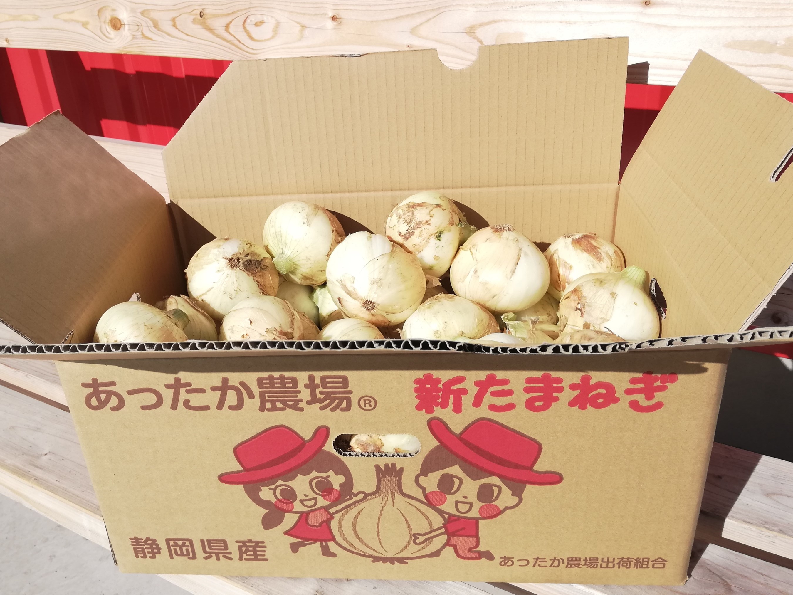 早採り新たまねぎ（1～3月出荷・静岡県浜松市 篠原産）