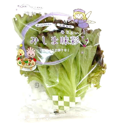 みしま味彩（静岡県産水耕栽培）